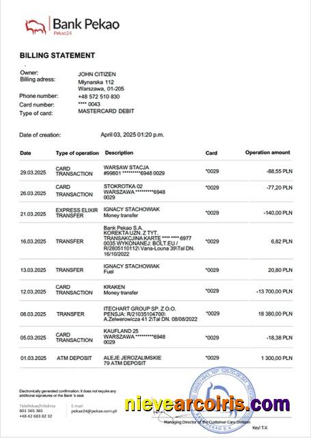 Poland Bank Pekao account statement Word and PDF